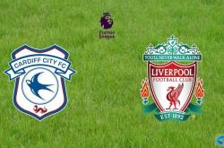 开云体育在线-卡迪夫城主场遗憾失利，保级前景稍显黯淡