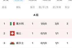 开云平台-包含意大利豪取六分轻松出线，领跑小组的词条