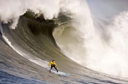 开云体育下载-冰与火的交响曲，布伦森在重压下的爵士乐章，冲垮森林狼的钢铁防线