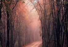 开云体育中国-包含中国羽毛球队轻取法国羽毛球队，安赛龙爆发神勇的词条